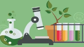 كيفية كتابة تقرير علمي