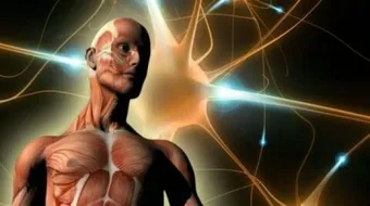 حقائق عن الإنسان