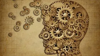 ذاكرة الإنسان