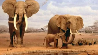 الصيد والمحميات الوطنية