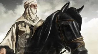 ابن أبي الحديد