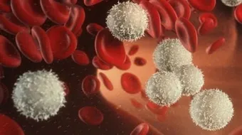 زيادة فيتامين ب12 في الدم