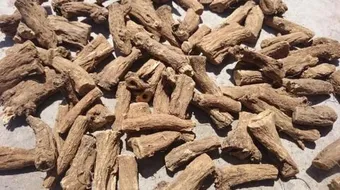 أضرار وفوائد القسط الهندي