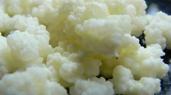 الفطر الهندي وكيفية استعماله