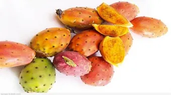 فوائد الهندي الشوكي