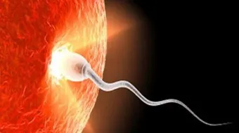 حقن السائل المنوي داخل الرحم