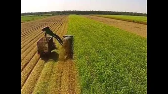 مقومات الإنتاج الزراعي