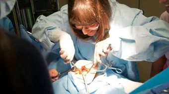 الفتق الإربي عند الأطفال البعج Inguinal Hernia