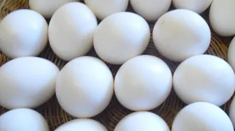 تفسير حلم البيض