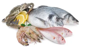 تفسير السمك في الحلم