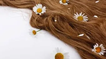 تفسير الشعر الطويل في المنام