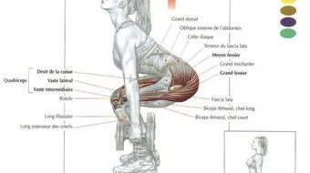 تمارين الحديد للمبتدئين