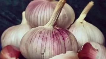 هل الثوم مفيد للثعلبة