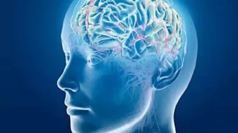 هل هناك علاقة بين التفكير الإبداعي والذكاء