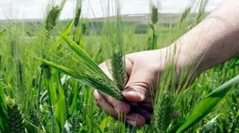 الإسلام والعمل