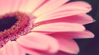 حكم وعبارات