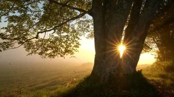 حكم وأقوال عن الحياة