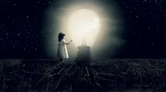 حكم على العلم