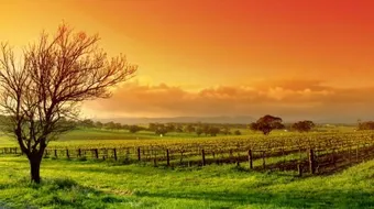 حكم على الدنيا