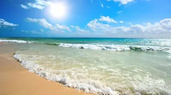 المحافظة على نظافة الشواطئ