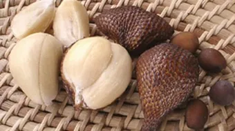 أنواع الثوم