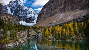 بحيرة فكتوريا