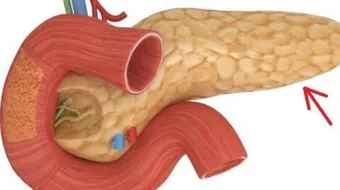 جزر لانغرهانس