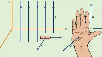 قانون القوة المغناطيسية