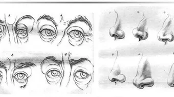 تعلم علم الفراسة