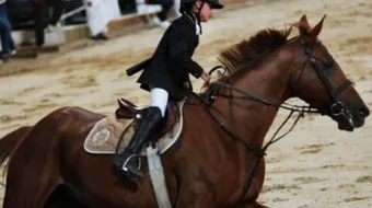 تعلم ركوب الخيل