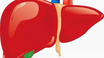 تحليل وظائف الكبد