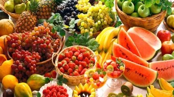 بحث عن الغذاء