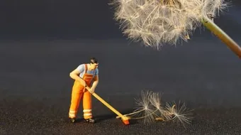 بحث عن النظافة