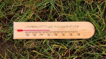 بحث عن درجة الحرارة