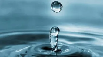 بحث عن الماء