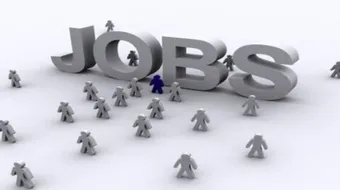 بحث عن العمل