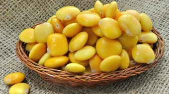 الترمس لتطويل الشعر