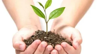 عمل مشروع صغير ناجح