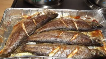 عمل سمك مشوي في الفرن