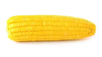 عمل الذرة المسلوقة