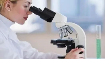 طرق تشخيص الملاريا