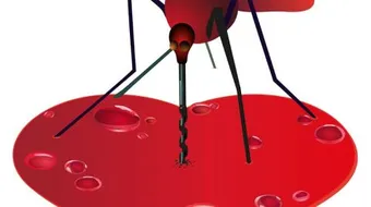 علاج الملاريا