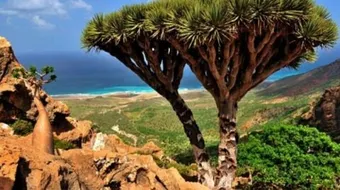 مظاهر تدهور التنوع البيولوجي