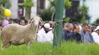 مظاهر الاحتفال بعيد الأضحى المبارك