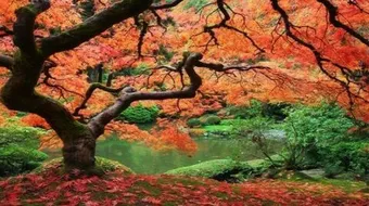 مظاهر إبداع الله في الكون