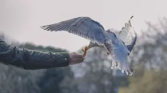 مظاهر عدل الله