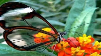 مظاهر قدرة الله في مخلوقاته