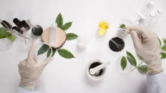 صناعة مواد التجميل الطبيعية