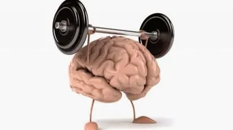 تدريبات لتقوية الذاكرة