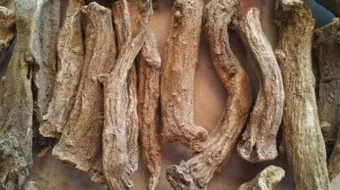 طريقة ومكونات استخدام القسط الهندي